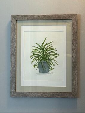 Framed original watercolor spider Plant painting